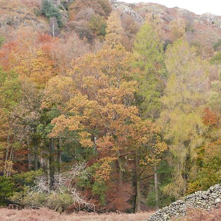 Rowan Villa Ulverston Bagian luar foto
