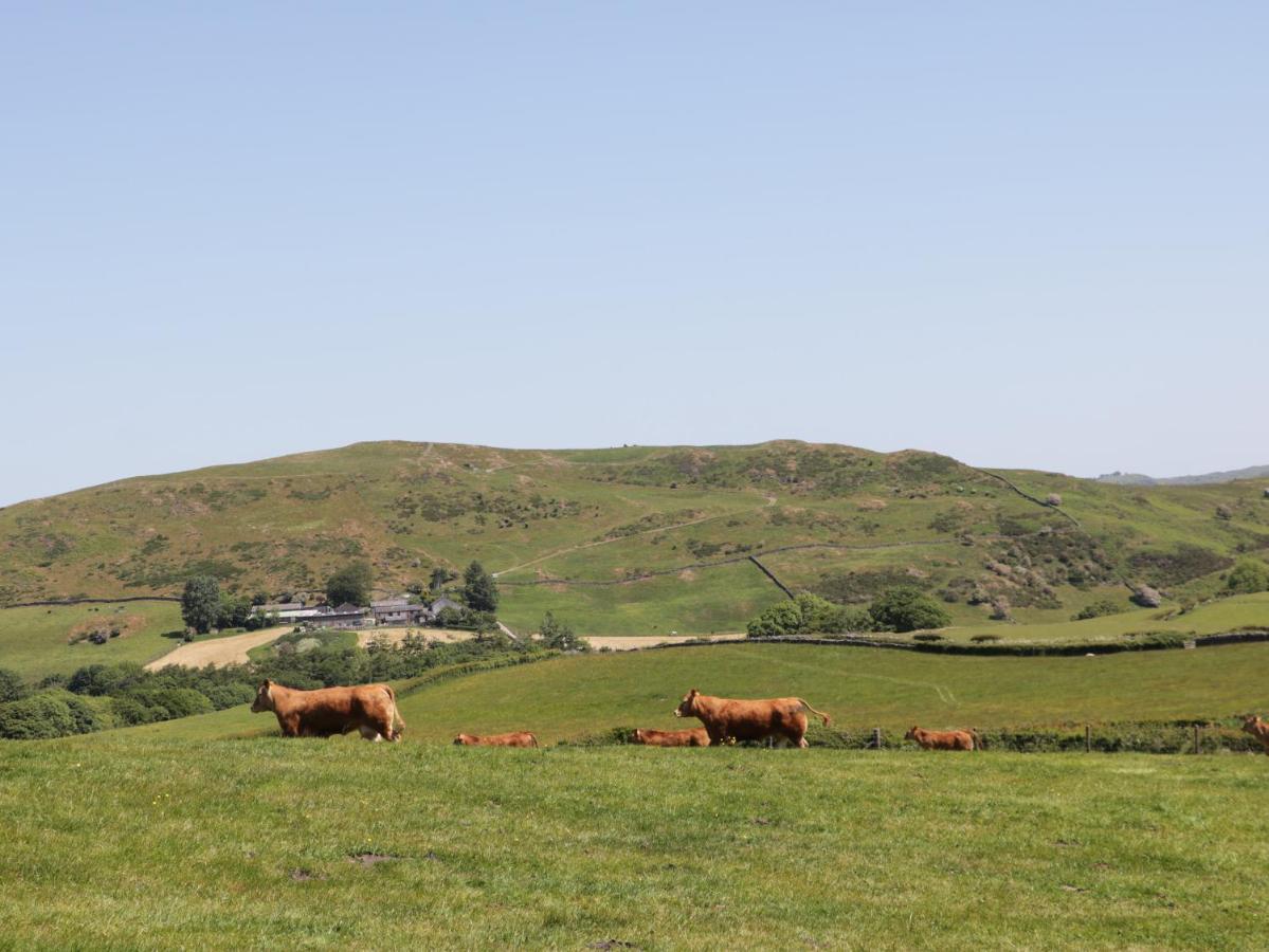 Rowan Villa Ulverston Bagian luar foto