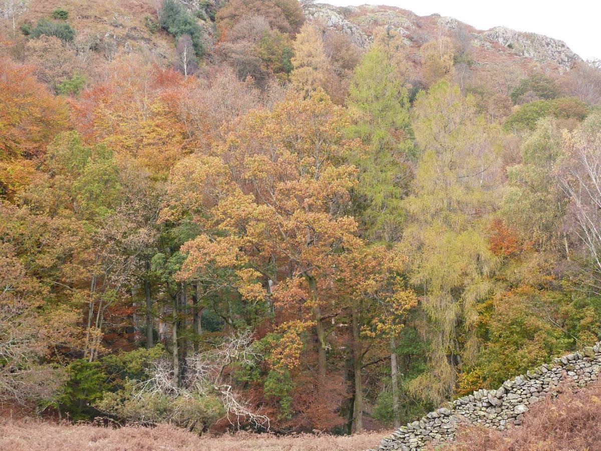 Rowan Villa Ulverston Bagian luar foto