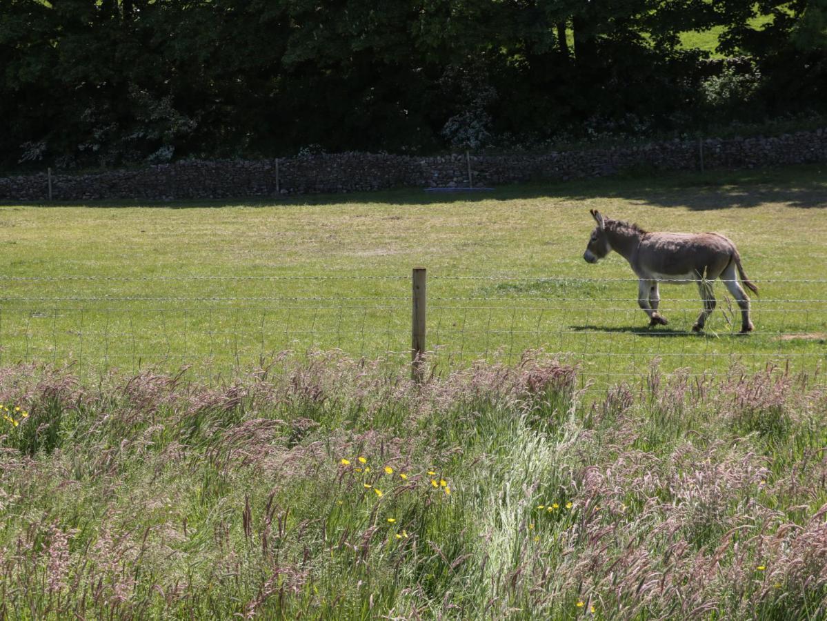 Rowan Villa Ulverston Bagian luar foto